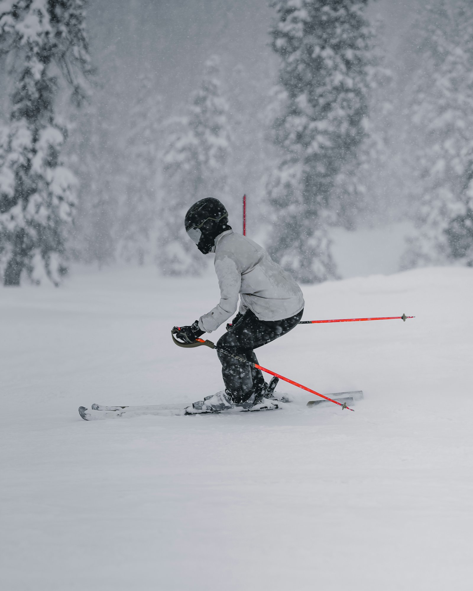 Snow Adventure Kashmir - skiing in Gulmarg powder snow