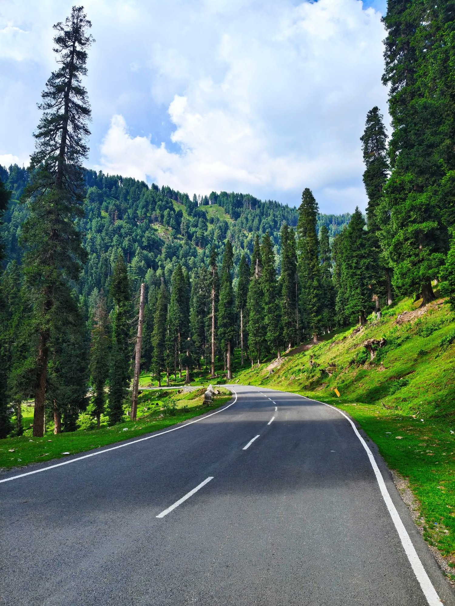 Doodhpathri Kashmir meadows