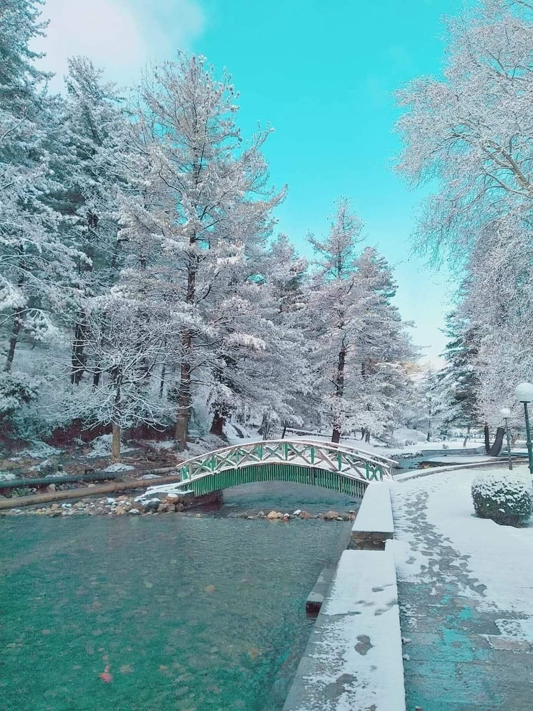 Kokernag botanical garden Kashmir
