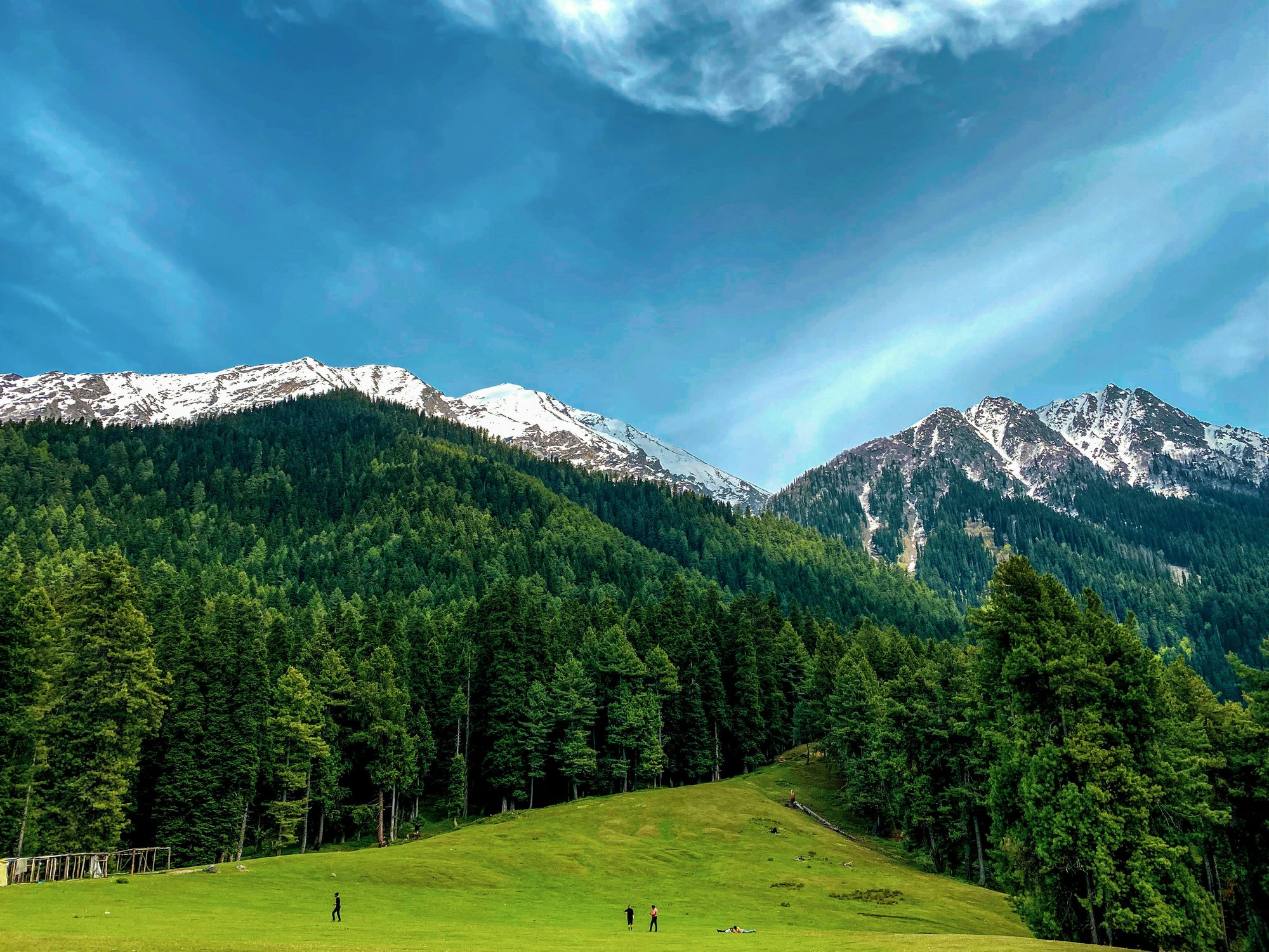 Pahalgam meadow