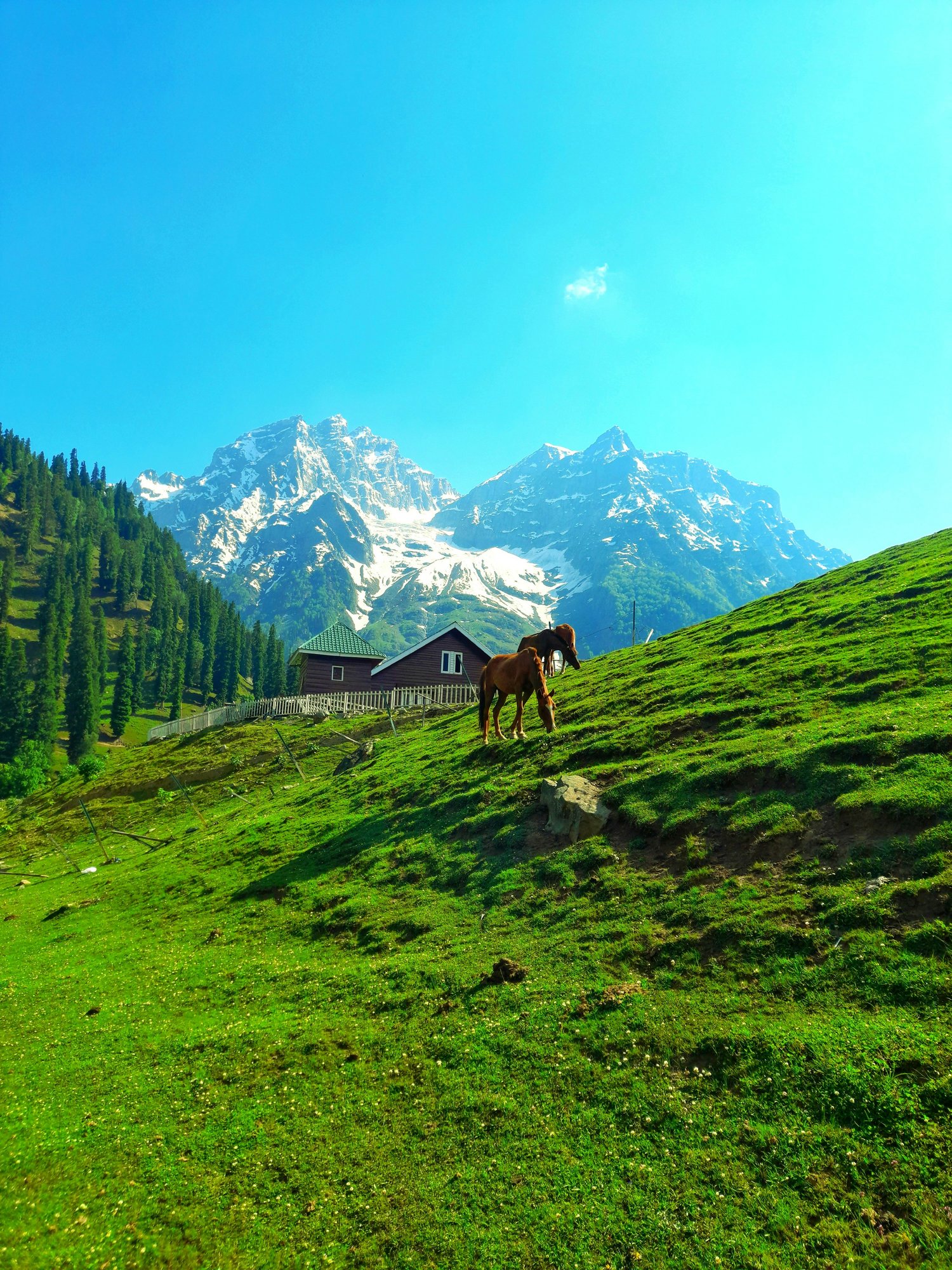 Sonmarg snow peaks